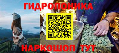 метадон Аргун