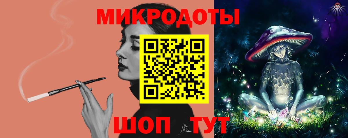 Галлюциногенные грибы Psilocybe Бийск
