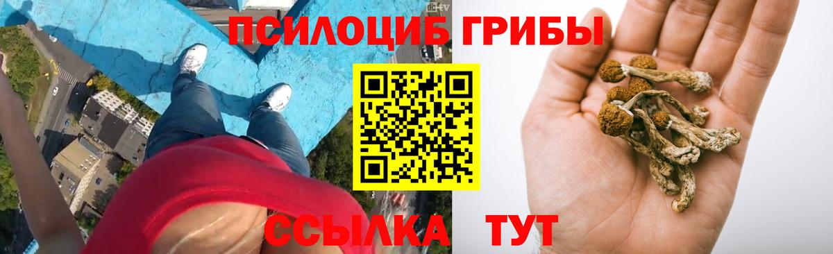 Псилоцибиновые грибы мицелий  Вход с VPN  Бийск 