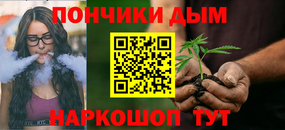 Бийск  Бошки Шишки конопля  Вход с VPN  Конопля сатива 